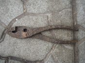 DSC01776.JPG