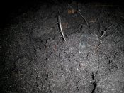 IMG_20160228_175627.jpg