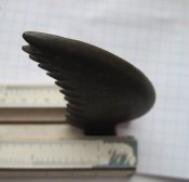 Изображение 196.jpg