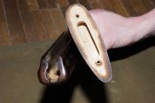 DSC03522.JPG