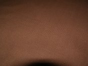 P1016601.JPG