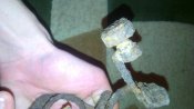 IMG_20160302_015916.jpg