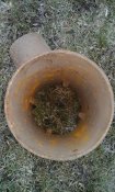 20160228_073416.jpg