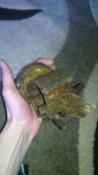 IMG_20160302_094216.jpg