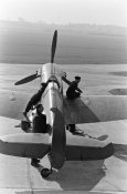 1936093_1720248894887766_6824883052885338289_n.jpg