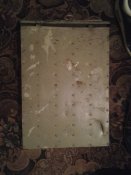 20160220_002635.jpg