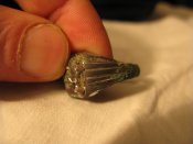 IMG_5391_resize.JPG