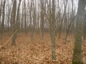 DSC03374_NEW.jpg