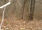 DSC03375_NEW.jpg