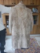 IMG_20160229_114003.jpg