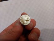 IMG_20160304_003542.jpg