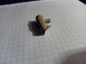IMG_20160304_125505.jpg