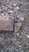 IMG_20160304_154633_369.jpg