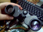 2010-11-28-69808.jpg