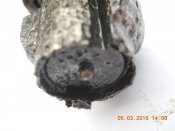 DSCN3423.JPG