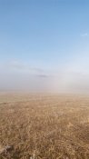 IMG_20160305_085455.jpg