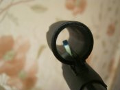 IMG_0773.JPG