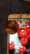 20160305_200448.jpg