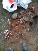 IMG_20160228_130259.jpg
