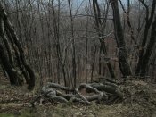 IMG_0213.JPG