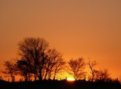 2010-11-29_213152.jpg