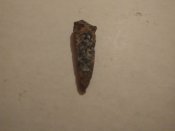 IMG_20160306_201237.jpg