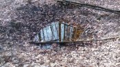 IMG_20160306_134235.jpg