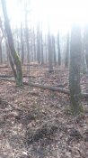 IMG_20160306_142705.jpg
