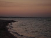 FILE0732.jpg