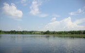 DSC00350 - копия.jpg