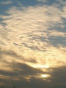 DSC01273.JPG