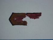 100_0781.jpg