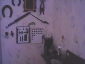 IMG0040A.jpg