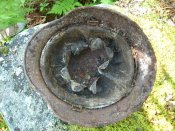 DSCN0736.jpg