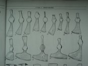 DSC02493.JPG