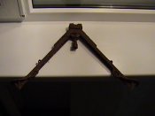 DSC00539.JPG