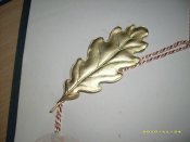 DSCI0041.jpg