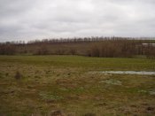 PA310093.jpg