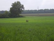 PC200008.jpg