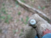 ____________074.jpg