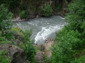 DSC07544.jpg