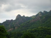 DSC07563.jpg