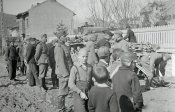 negseta-001.jpg