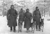 Советские военные собаководы отдельного батальона связи со связными собаками.jpeg
