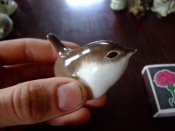 DSCF8325.JPG