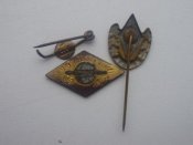 PC030001.JPG