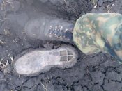 Зобр032.jpg