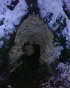IMG0045A.jpg