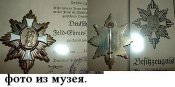 17597972.jpg