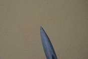 DSC_0155.jpg